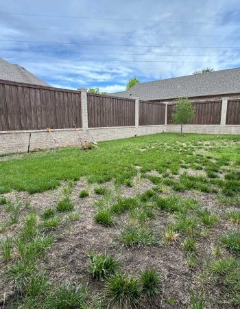 spankys-landscape-gunite-pools-concept-to-completion-00