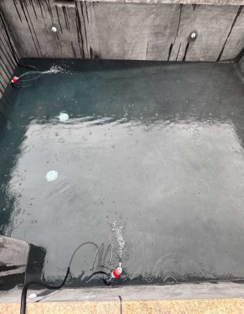 spankys-landscape-gunite-pools-concept-to-completion-00_3419